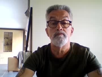 Grybear live cam