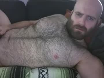 Hairiest Bear live cam