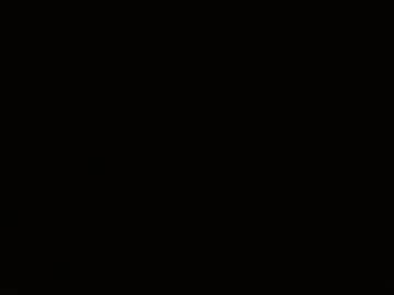 Hornypanda live cam