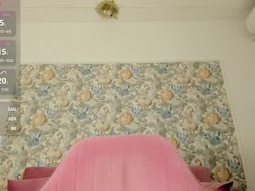 illegal_lorry live cam