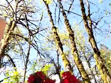 sir Grummps live cam