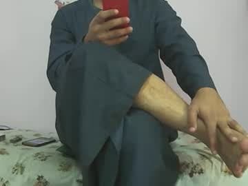 king_of_arabians live cam