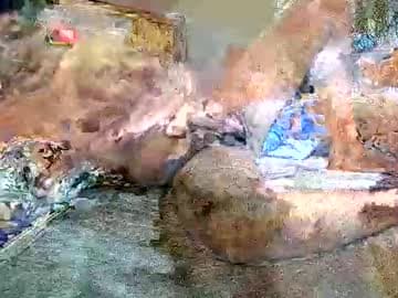 Maggie live cam