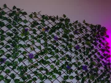 melody_cute10 live cam