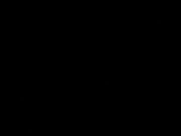 never_forget_this live cam