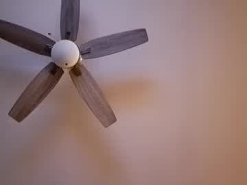 patrick247288 live cam