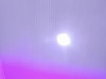 Sagira Belle live cam