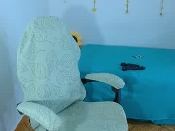 sajecrismas live cam