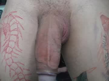 spityio instagram live cam