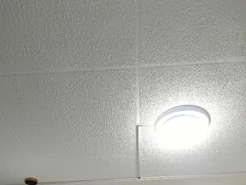 Shadixa_Luxx live cam