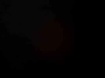 un_chat_de_rue live cam