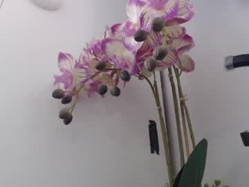 I'm Amaia Everyone Merry Christmas live cam