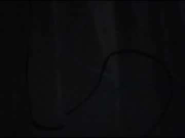 helldog live cam