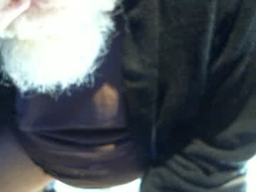 y e l l o w s n a k e s live cam