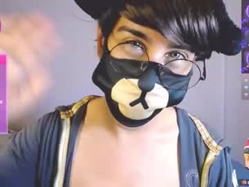 the puppy boy live cam