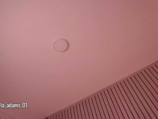bella-adams live cam