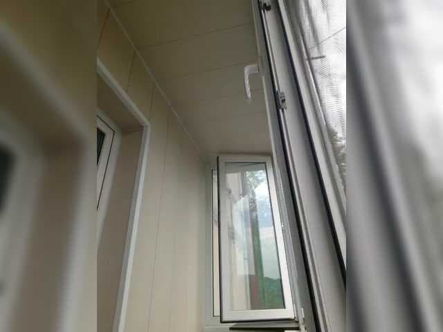 Zlykaa live cam