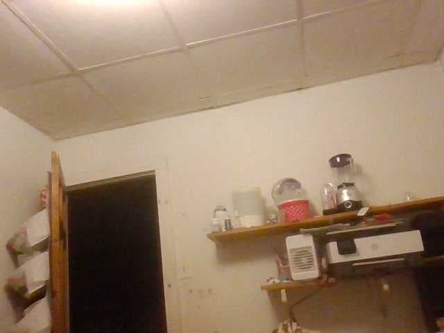 starlight1983 live cam