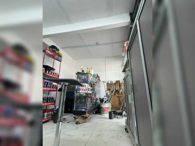 PaulbigX live cam