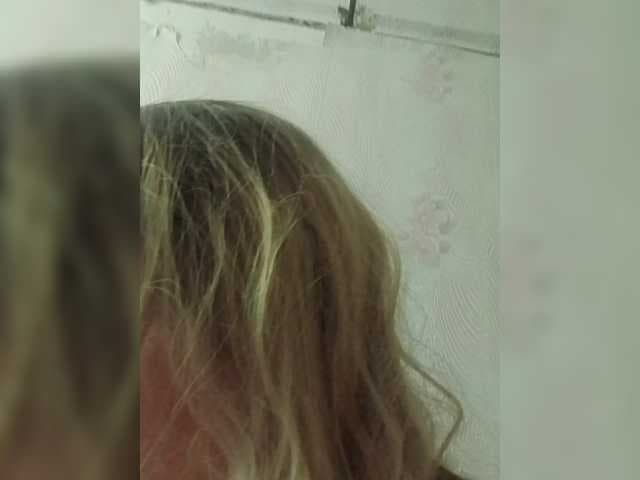 Kolibrii live cam